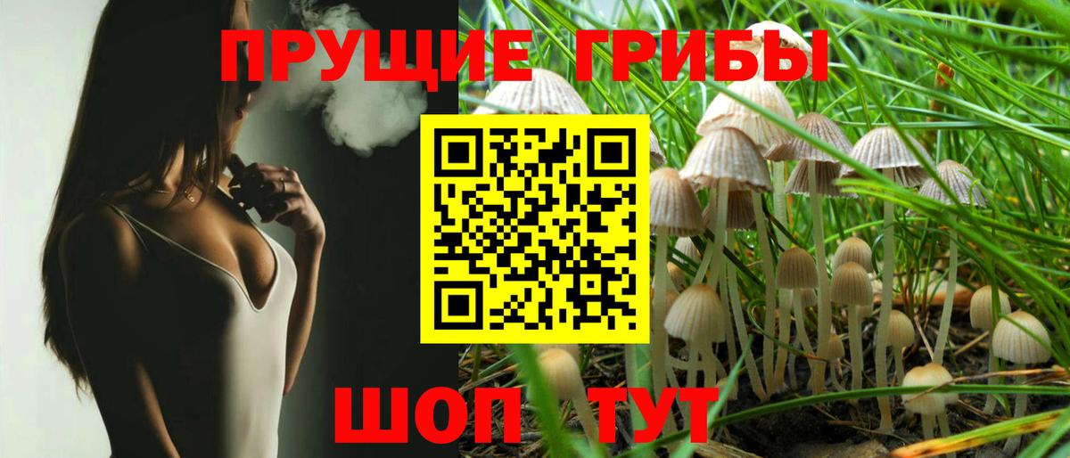 Корсаков  Псилоцибиновые грибы мухоморы  купить закладку  Вход с VPN 